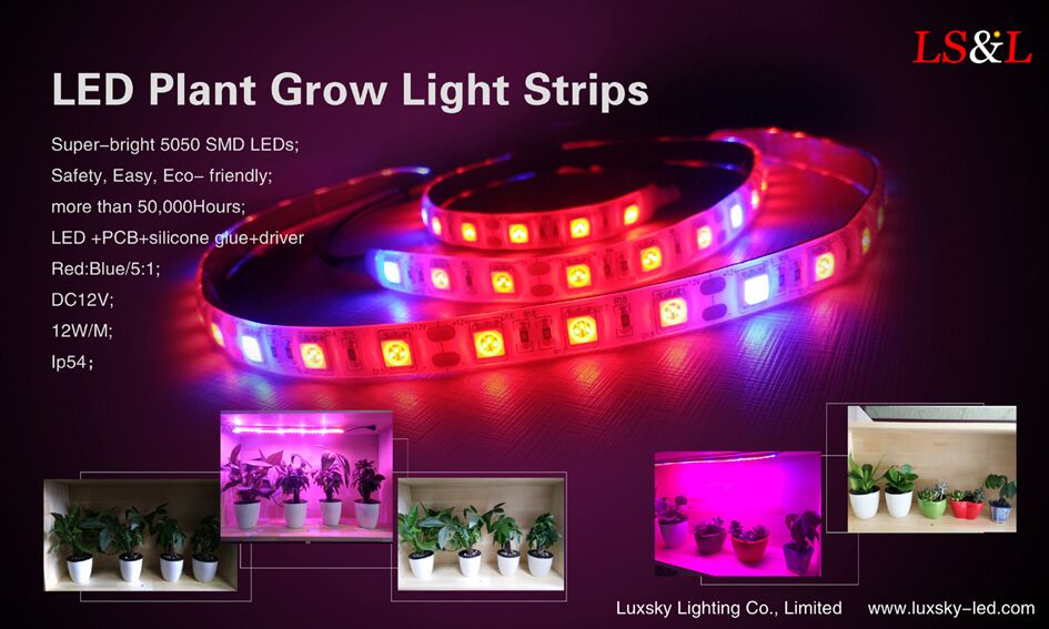 Nové trendy v LED závod zdroj svetla a jeho osvetlenie výskum a vývoj