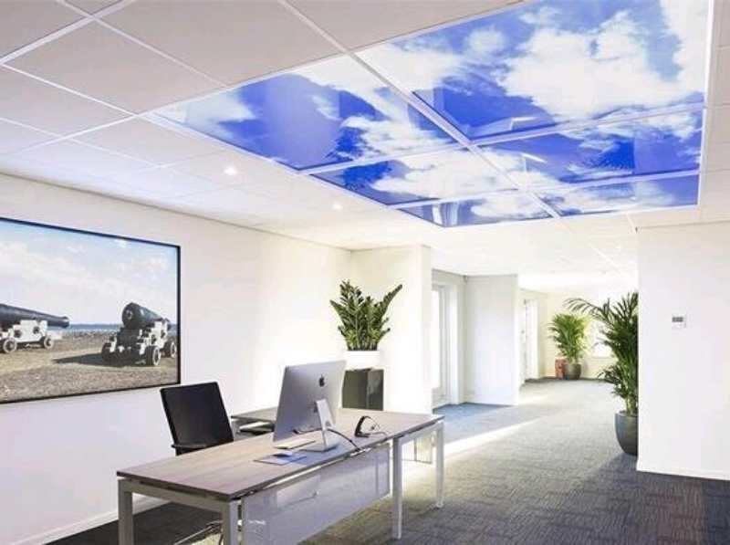 sky panel light office.jpg